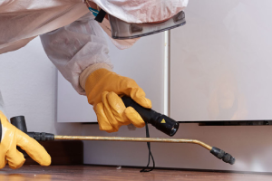 Messie Schädlingsbekämpfung Offenbach Am Main